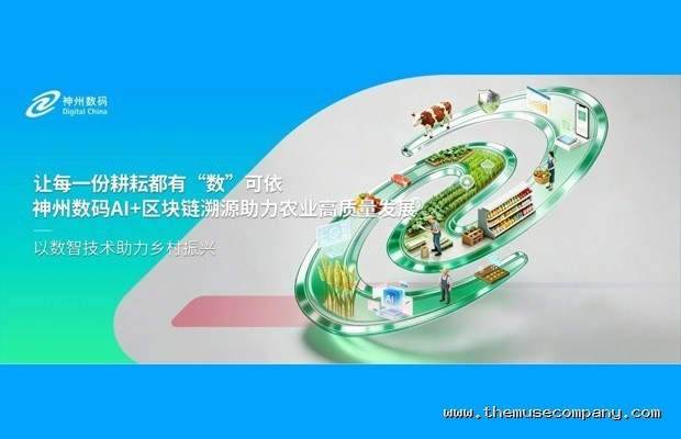 新手给雪板打蜡不当导致板底碳化的真实案例与正确方法